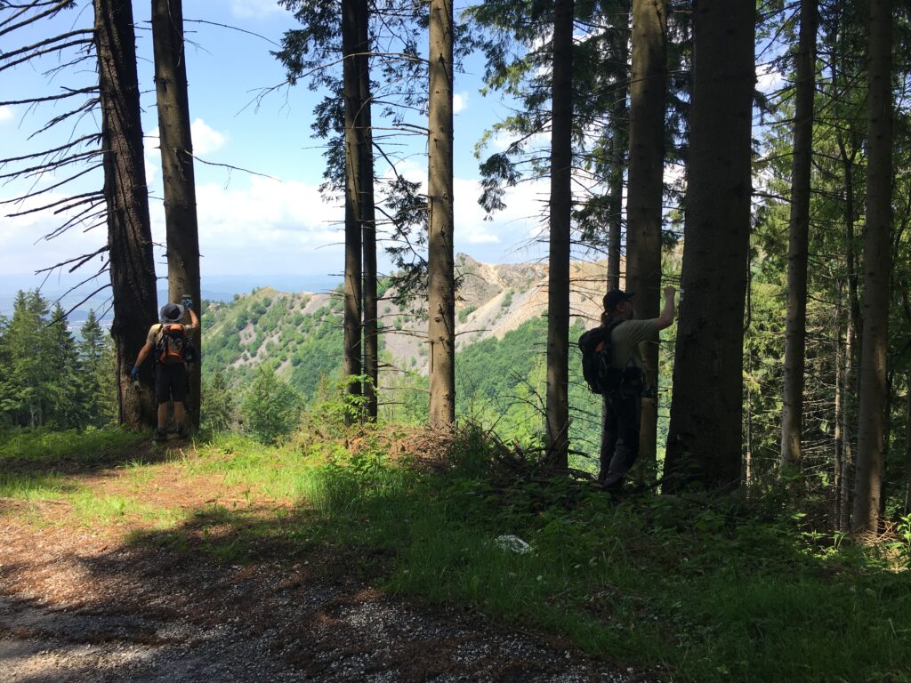 Značenie turistických chodníkov